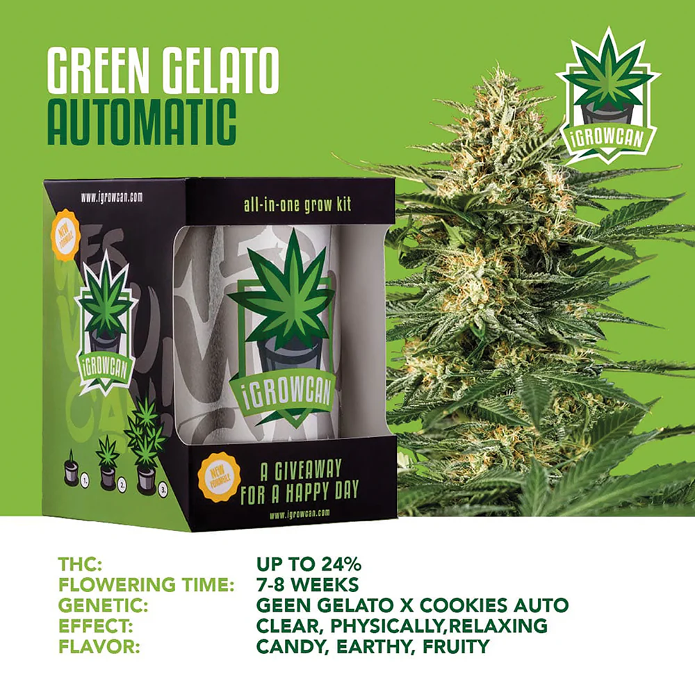 Green Gelato Automatic iGrowCan - All in One Grow Kit - Image 3