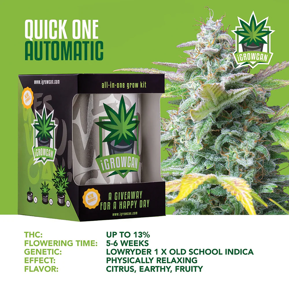 Quick One Automatic iGrowCan - All in One Grow Kit - Image 3