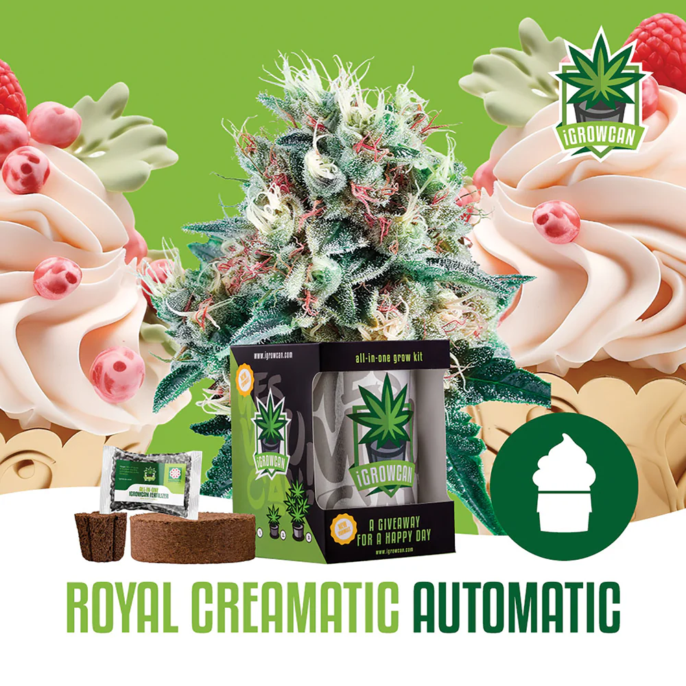 Royal Creamatic Automatic iGrowCan - All in One Grow Kit